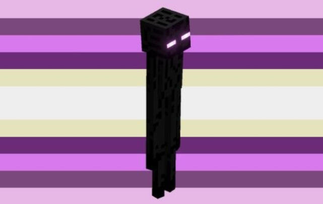 Enderenvy Enderenvy