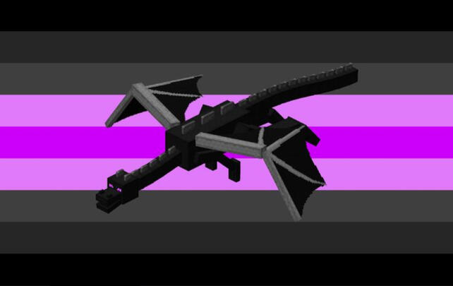 Enderdragongender Enderdragongender