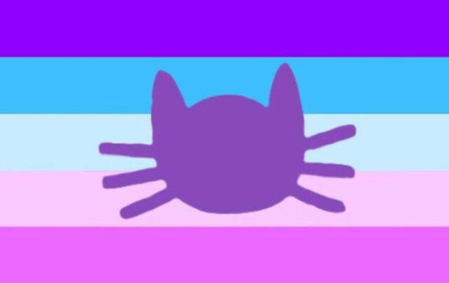 Catboygender Catboygender