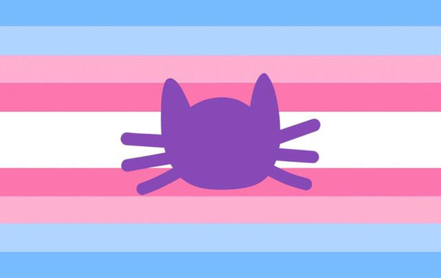 Transcatgender Transcatgender