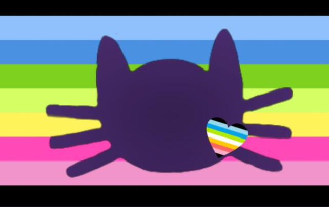 queercatgender queercatgender