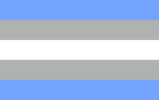 https://www.tumblr.com/pride-color-schemes/146792329585/gray-analterous