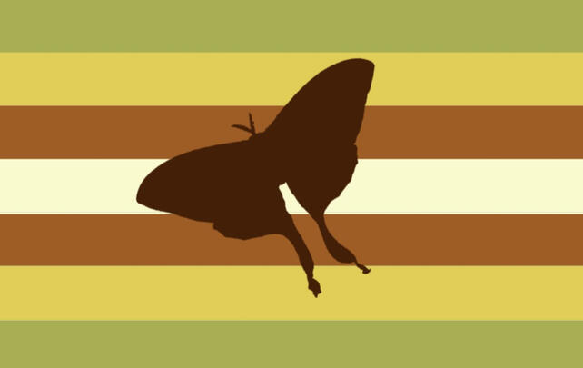 Buggender Buggender