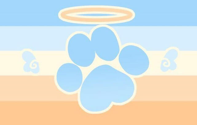 Angelpupgender Angelpupgender