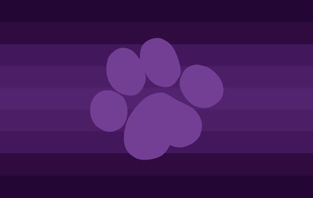 Vimemorpup Vimemorpup