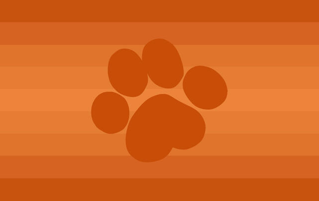 Tangewpup Tangewpup