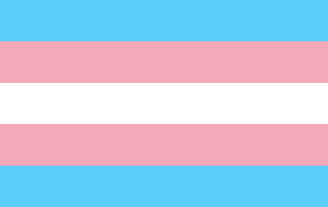 Trans Trans