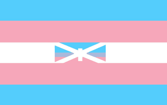 anti transmed trans anti transmed trans