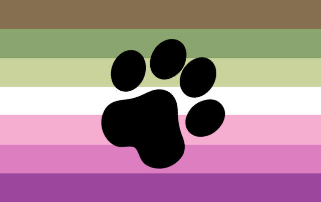 Petplay Petplay