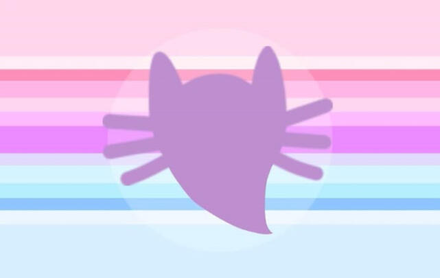 Ghostcatgender Ghostcatgender