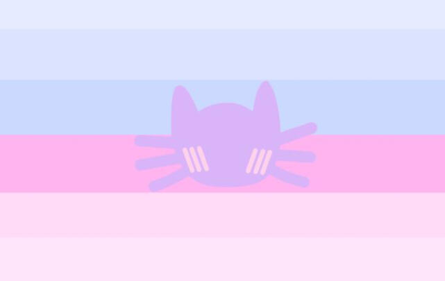 Shycatgender