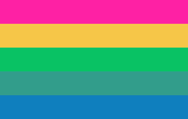 pan gay man pan gay man